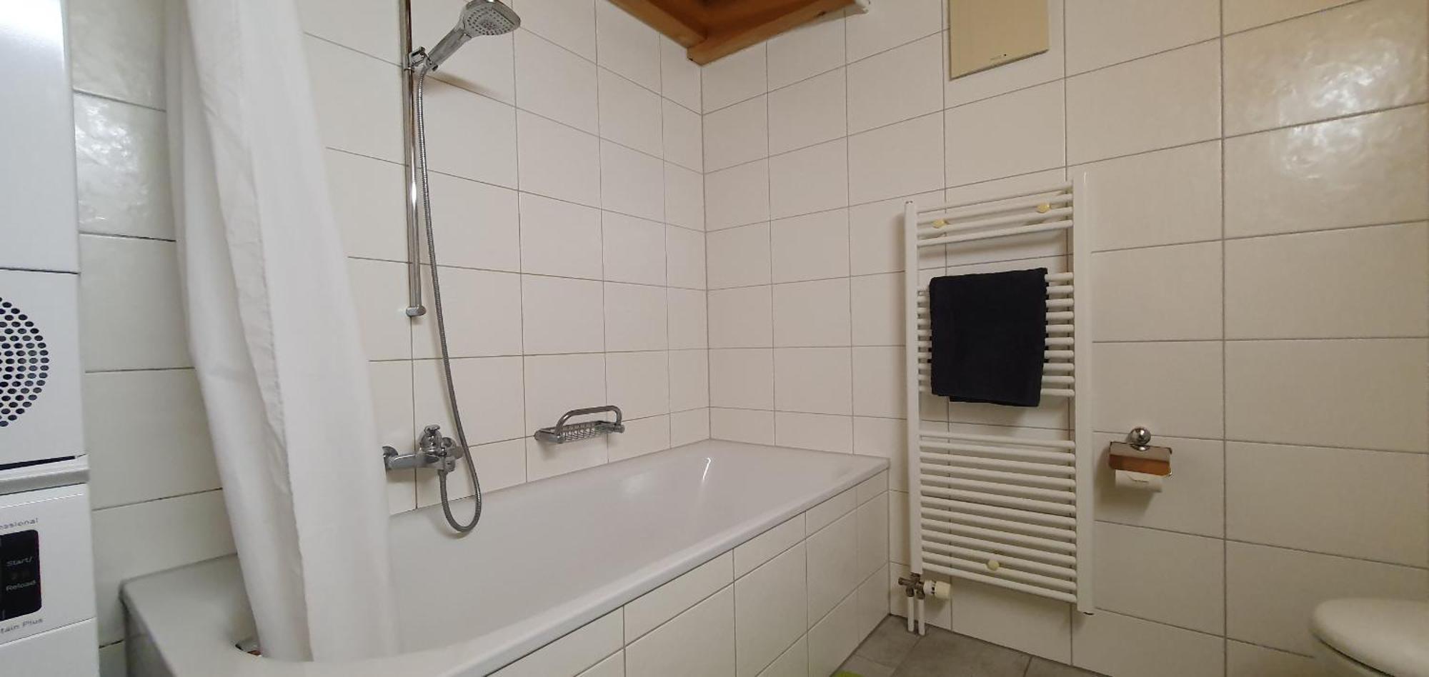 Apartment Honegg Lauterbrunnen Bagian luar foto